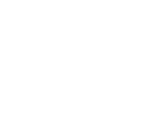 Chamomile Decor Chamomile Decor